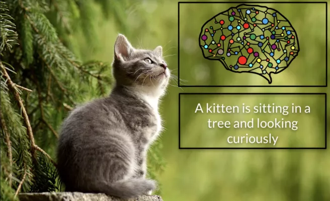 A picture of a kitten sitting on a tree and looking curiously